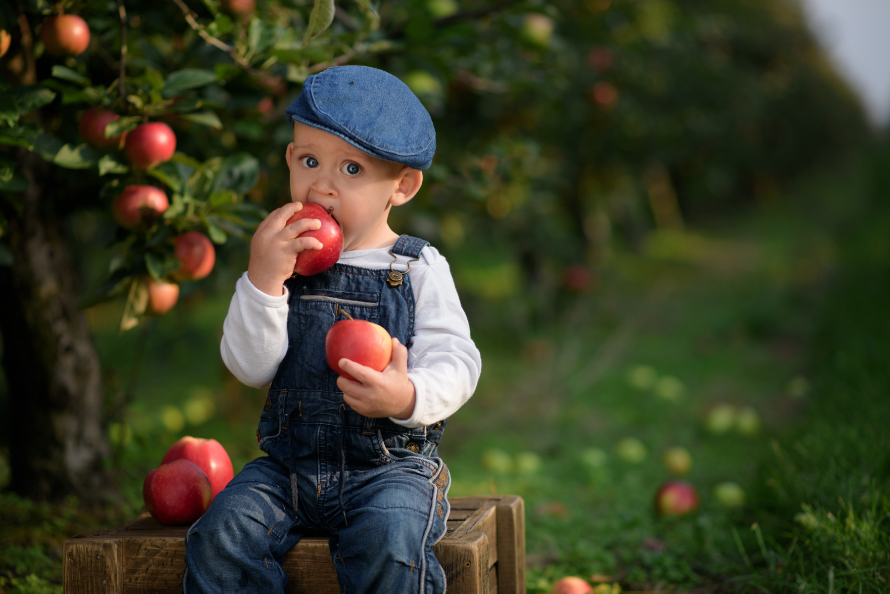Fotografia dziecięca w sadzie