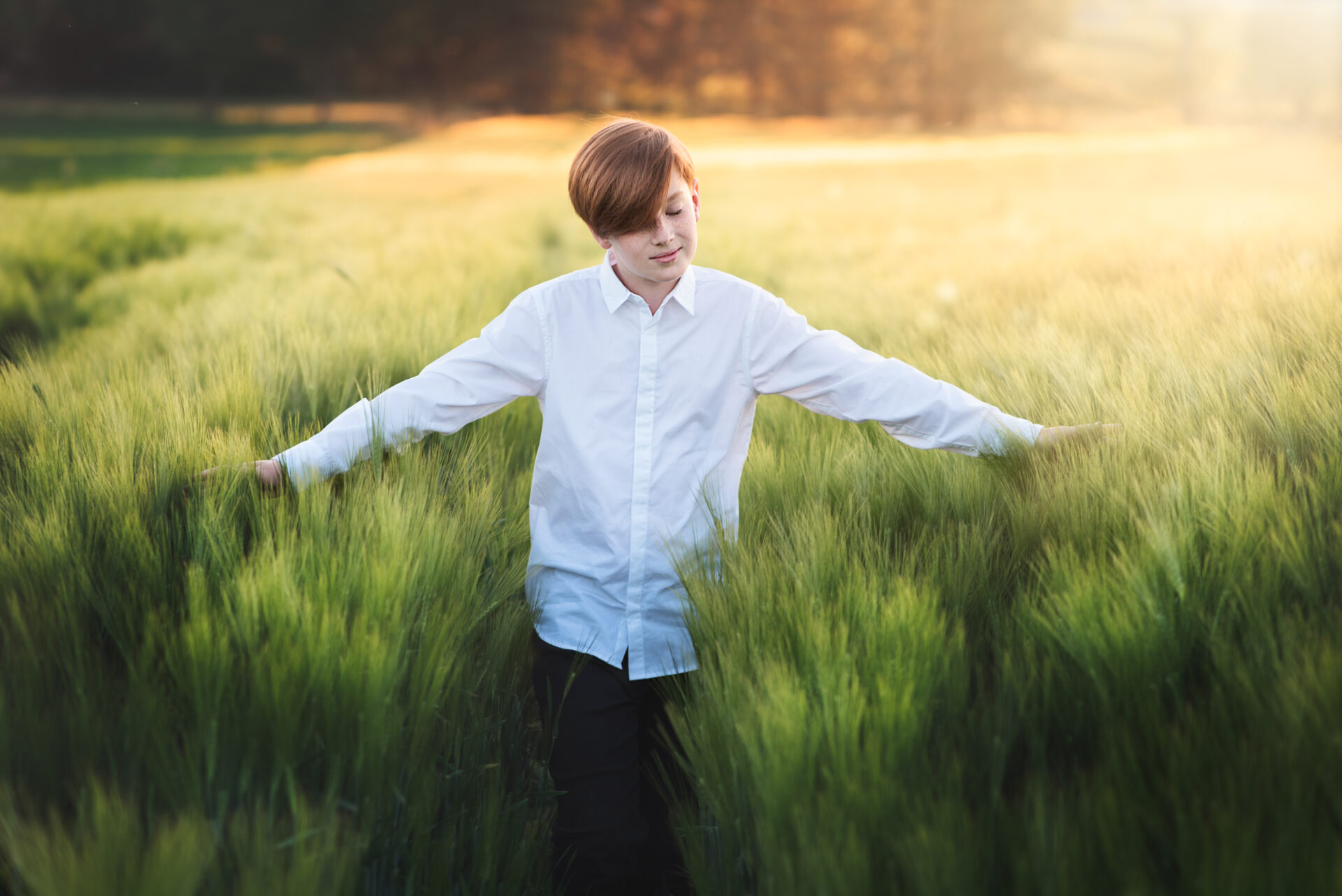 Plenery komunijne